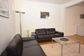 Spacious 1BR near Opera and Lake - Mill 5 43
